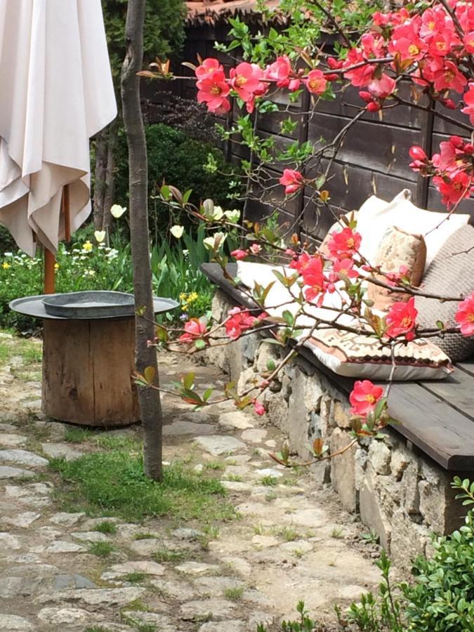 Darina Guest House โคปริฟชทิทซา ภายนอก รูปภาพ